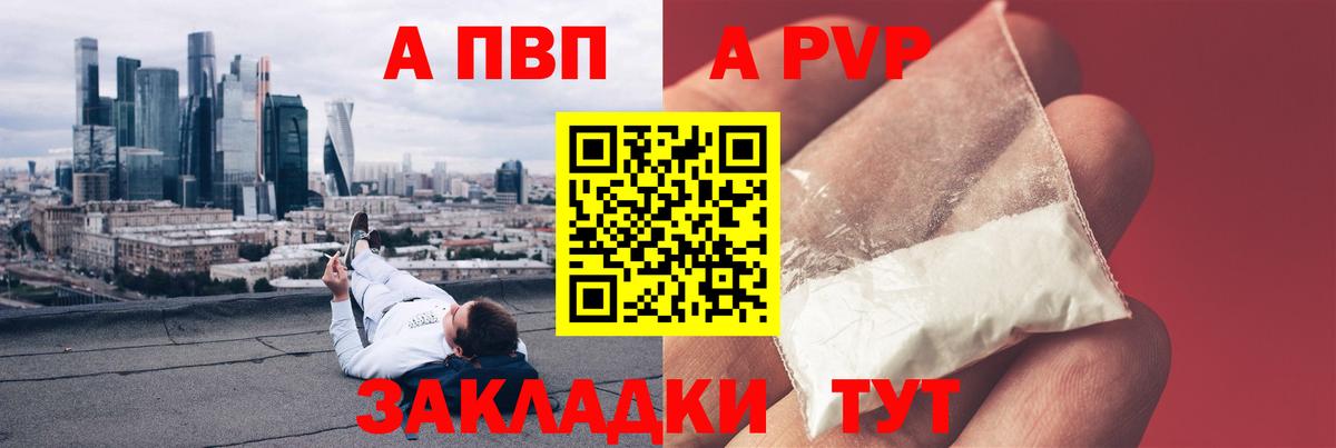 Альфа ПВП СК Химки
