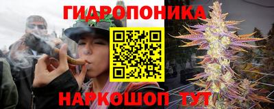 ешки Новозыбков