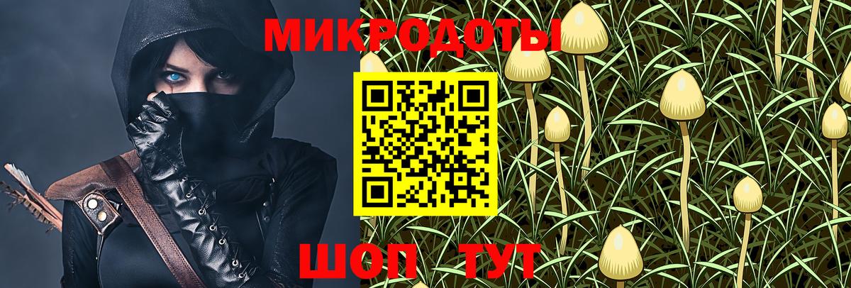 купить наркотики цена  Псилоцибиновые грибы GOLDEN TEACHER  Вход с VPN  Химки 